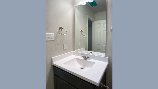 Rosharon 1-story, 4-bed 10203 Alpine Lake Lane-idx