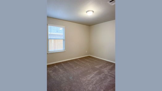 Rosharon 1-story, 4-bed 10203 Alpine Lake Lane-idx