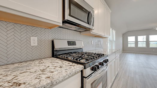 Rosharon 1-story, 4-bed 1638 Sequoia Run Drive-idx