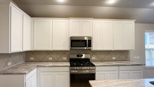 Tomball 1-story, 4-bed 17839 Cappadocia Trail-idx