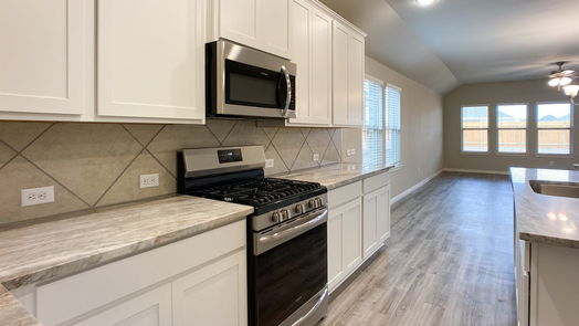Tomball 1-story, 4-bed 17839 Cappadocia Trail-idx