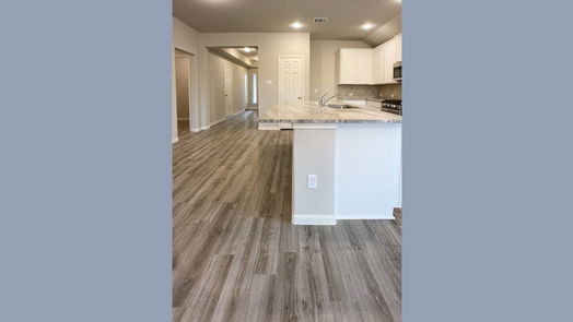 Tomball 1-story, 4-bed 17839 Cappadocia Trail-idx