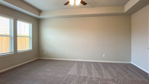 Tomball 1-story, 4-bed 17839 Cappadocia Trail-idx
