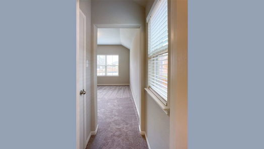 Tomball 1-story, 4-bed 17839 Cappadocia Trail-idx