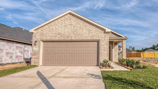 Tomball 1-story, 3-bed 17730 Pamukkale Place-idx