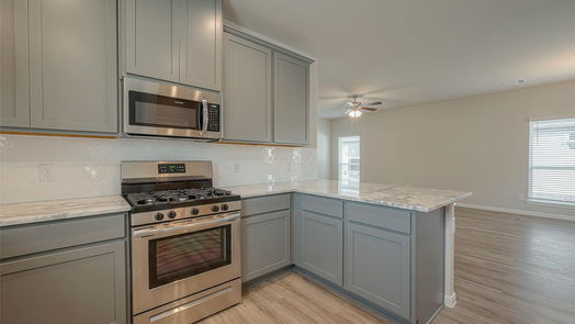 Tomball 1-story, 3-bed 17730 Pamukkale Place-idx