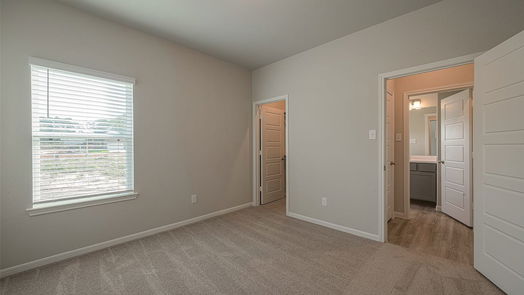 Tomball 1-story, 3-bed 17730 Pamukkale Place-idx