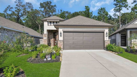 Conroe null-story, 3-bed 17455 Vino Vines Lane-idx