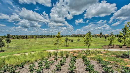 Cypress 1-story, 3-bed 12503 Llano Estacado Drive-idx