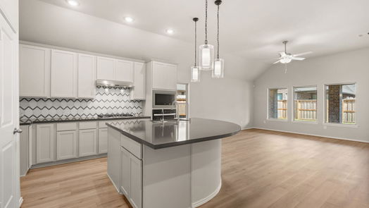Cypress null-story, 4-bed 13814 San Pasqual Pointe Drive-idx