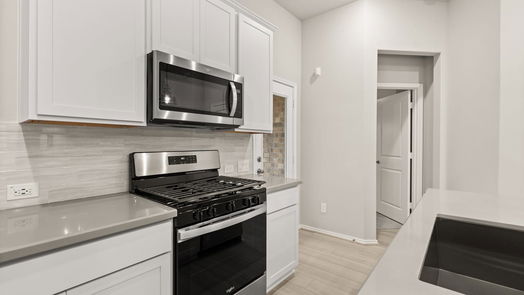Cypress 1-story, 3-bed 12503 Llano Estacado Drive-idx
