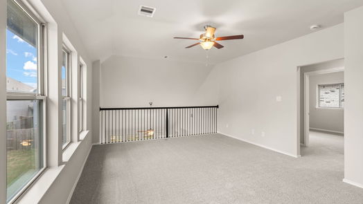 Iowa Colony 2-story, 4-bed 4150 Kinsey Street-idx