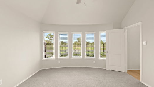 Iowa Colony 1-story, 4-bed 4111 Watson Drive-idx
