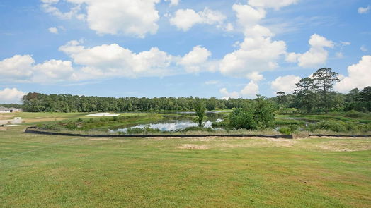 Magnolia 1-story, 3-bed 1124 Wandering Brook Road-idx