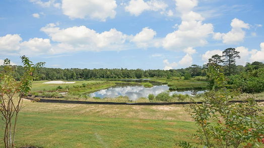 Magnolia 1-story, 3-bed 1124 Wandering Brook Road-idx