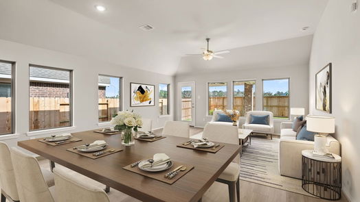 Magnolia null-story, 4-bed 1218 Wandering Brook Street-idx