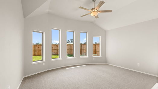 Magnolia null-story, 4-bed 1218 Wandering Brook Street-idx