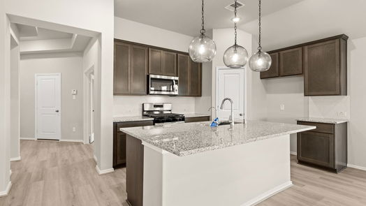 Magnolia null-story, 4-bed 1218 Wandering Brook Street-idx