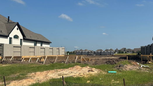 Manvel null-story, 4-bed 2311 Peach Oak Crossing-idx