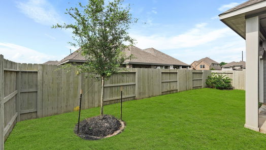 Manvel null-story, 4-bed 4510 Cedar Butte Lane-idx