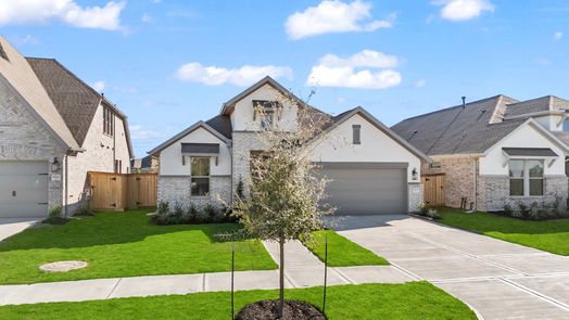 Manvel null-story, 4-bed 18738 Windy Orchard Street-idx