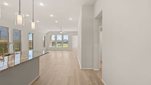 Manvel null-story, 4-bed 18738 Windy Orchard Street-idx