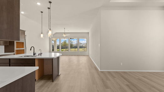 Manvel 1-story, 4-bed 18718 Windy Orchard Street-idx