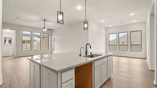 Manvel null-story, 4-bed 2418 Peach Oak Crossing-idx
