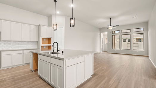 Manvel null-story, 4-bed 2418 Peach Oak Crossing-idx