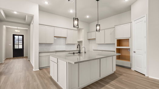 Manvel null-story, 4-bed 2418 Peach Oak Crossing-idx