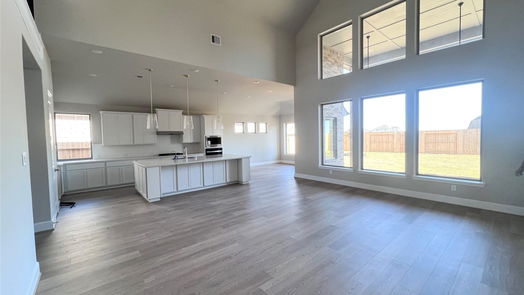 Manvel 2-story, 4-bed 6411 Cherry Wick Drive-idx