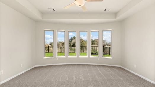 Manvel 2-story, 4-bed 5007 Blooming Hibiscus-idx