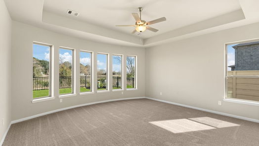 Manvel 2-story, 4-bed 5007 Blooming Hibiscus-idx