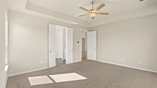 Manvel 2-story, 4-bed 5007 Blooming Hibiscus-idx