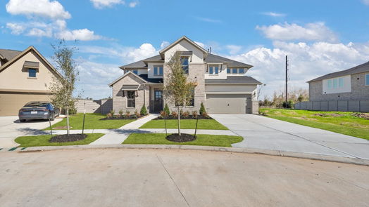 Manvel 2-story, 4-bed 5007 Blooming Hibiscus-idx