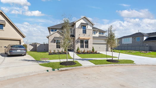 Manvel 2-story, 4-bed 5007 Blooming Hibiscus-idx