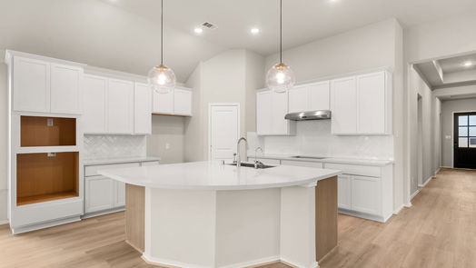 Manvel null-story, 4-bed 18719 Citrange Bend Way-idx