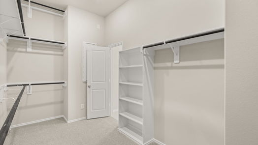 Manvel 1-story, 4-bed 18734 Windy Orchard Street-idx