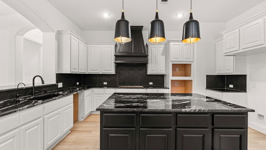 Manvel 2-story, 5-bed 2022 Highland Moss Road-idx