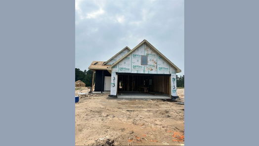 New Caney 1-story, 3-bed 313 Violet Crown Lane-idx