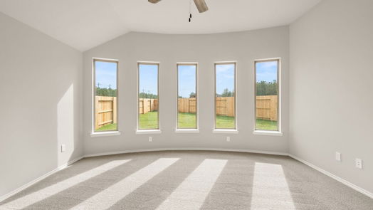 New Caney 1-story, 4-bed 28820 Chalk Ridge Lane-idx