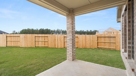 New Caney 1-story, 4-bed 28820 Chalk Ridge Lane-idx