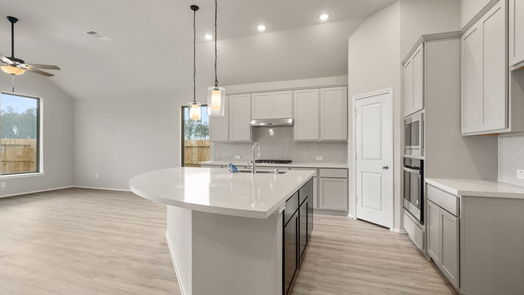 New Caney 1-story, 4-bed 28820 Chalk Ridge Lane-idx