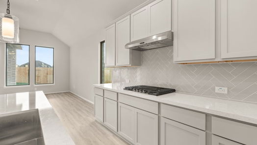 New Caney 1-story, 4-bed 28820 Chalk Ridge Lane-idx