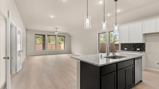 New Caney 1-story, 4-bed 28815 Balanced Rock Drive-idx