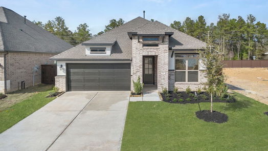 New Caney 1-story, 4-bed 28815 Balanced Rock Drive-idx