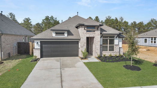 New Caney 1-story, 4-bed 28815 Balanced Rock Drive-idx