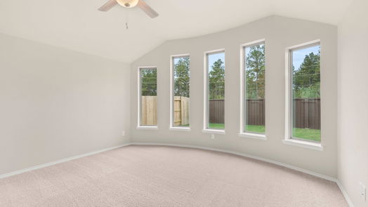 New Caney 1-story, 4-bed 28815 Balanced Rock Drive-idx