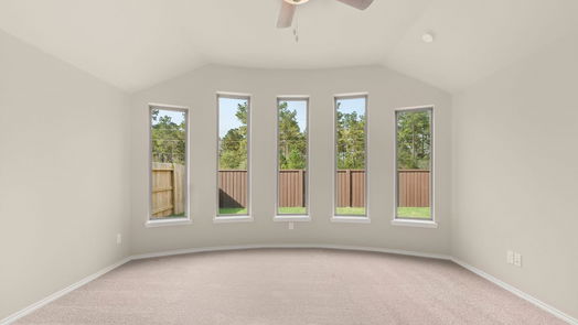 New Caney 1-story, 4-bed 28815 Balanced Rock Drive-idx