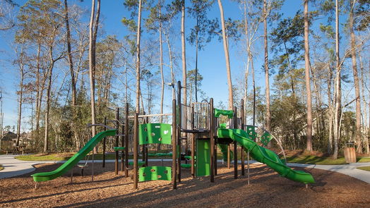 Spring 2-story, 4-bed 3505 Cherrybark Gable Lane-idx